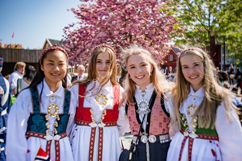 norsk nationaldragt, bunad, norsk nationaldag, folkedragt